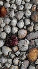 Pebbled flooring composed of rounded white and earth-toned stones in a mosaic design, typical of Greek courtyards.
