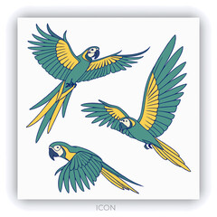 Congo grey parrot. African bird with red tail and gray feathers. Tropical birdie from Africa. Exotic fauna.