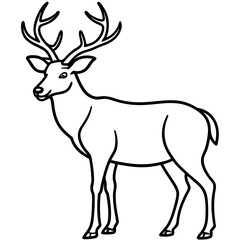 Nature Pair Silhouette Wapiti and Vole