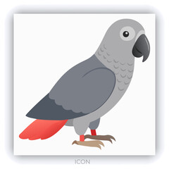 Congo grey parrot. African bird with red tail and gray feathers. Tropical birdie from Africa. Exotic fauna.