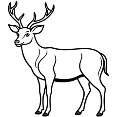 Nature Pair Silhouette Wapiti and Vole