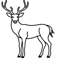 Nature Pair Silhouette Wapiti and Vole