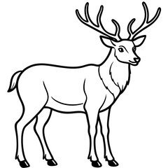 Nature Pair Silhouette Wapiti and Vole