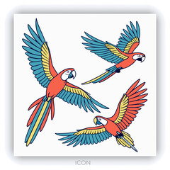 Congo grey parrot. African bird with red tail and gray feathers. Tropical birdie from Africa. Exotic fauna.