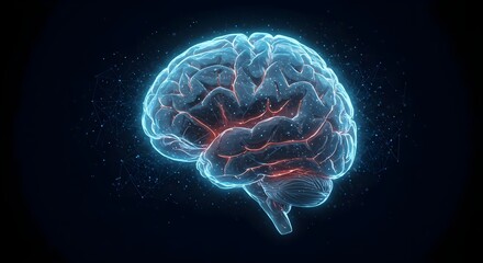 Brain, Human brain, Neural network, Illuminated Human Brain with Neural Network Connections