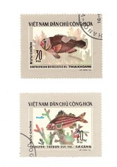 Vintage postage stamps from Vietnam isolated on a white background.