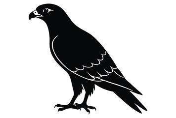 Obraz premium Hawk silhouette vector elements, Flying hawk bird flat icon illustration.