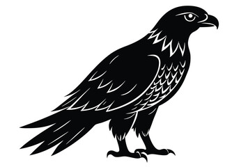 Obraz premium Hawk silhouette vector elements, Flying hawk bird flat icon illustration.
