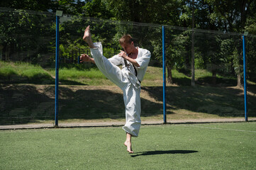 Martial artist doing high front kick on sports field.