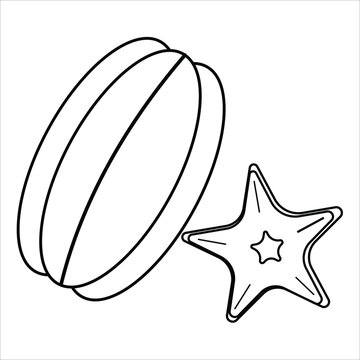 star fruit icon vector black and white