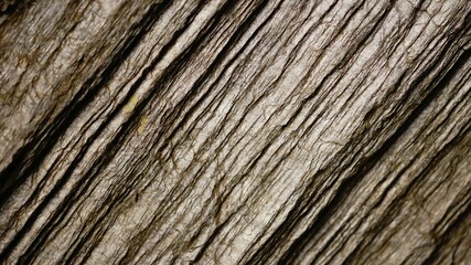 Fototapeta premium scratched stone texture as a background