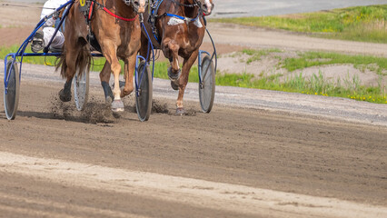 Obraz premium Equestrian sport. Horizontal photo banner. Copy space for your text. Horses compete in harness racing