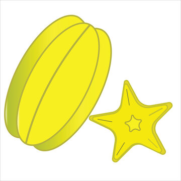 Colored star fruit icon vector