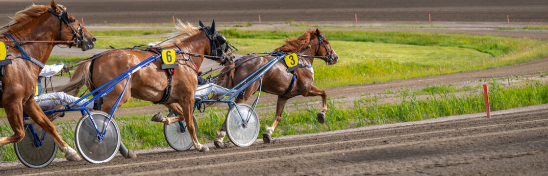 Equestrian sport. Horizontal photo banner. Copy space for your text. Horses compete in harness racing