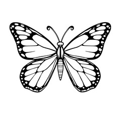 Monarch Butterfly Line Art: A striking monochrome illustration of a monarch butterfly, showcasing its detailed wing patterns in elegant black ink lines against a white background.