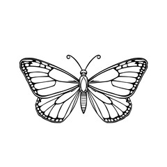Monarch Butterfly Line Art: A detailed black and white illustration of a monarch butterfly, showcasing its intricate wing patterns and delicate body in a simple, elegant style.