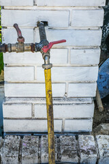 Happy Boy in Summer Hat Spraying Palm Trees with Garden Hose on a Bright Sunny Day