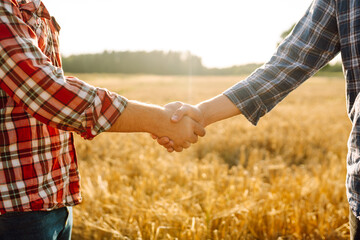 Two young farmers shaking hands in a golden wheat field with a sunset in the background. Close-up of men shaking hands symbolizing partnership. Concept of a deal and a rich harvest.