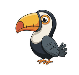 toucan bird on white background