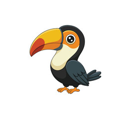 toucan isolated on white background