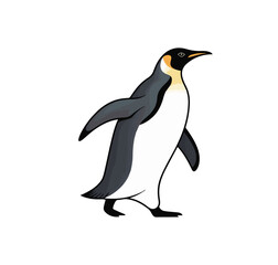 Fototapeta premium dolphin 