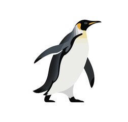 Naklejka premium dolphin 