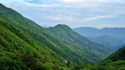 Beautiful Spring Scenery in Korea