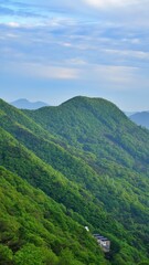 Obraz premium Beautiful Spring Scenery in Korea