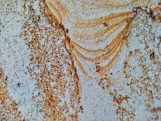 Elegant sandstone wall with natural, flowing patterns.  Perfect for backgrounds, textures, and...