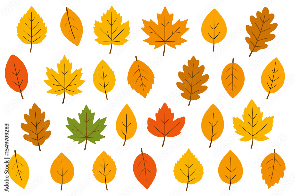 Poster colorful collection of autumn leaves in various shapes and sizes on a white background