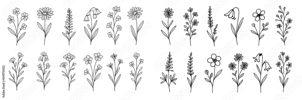 Poster Different types of hand-drawn flowers arranged in several rows showcasing unique designs and fine details