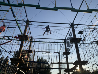 Adult man climbing and balancing on high ropes obstacle course in adventure park. Outdoor summer...
