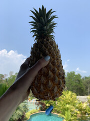 Pineapple in Hand Against Blue Sky &ndash; Tropical Summer Vacation Mood