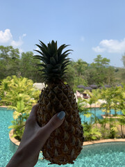 Pineapple in Hand Against Blue Sky &ndash; Tropical Summer Vacation Mood