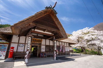 満開の桜と湯野上温泉駅 駅舎　福島県下郷町
