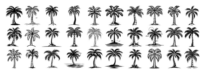 coconut and palm tree vector set – tropical silhouette illustration