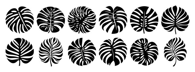 monstera leaf vector icons – tropical foliage silhouette set © Mago