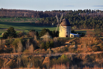 Stone windmill sitting on a gentle slope surrounded by trees in warm evening light