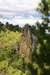 Fototapeta premium Jagged rock spire rising steeply from a dense pine forest in the Harz mountains