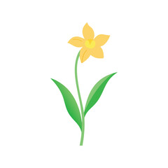 Daffodil flower flat minimal vector illustration, bright yellow spring bloom