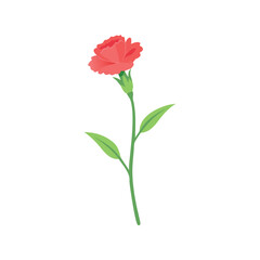 Obraz premium Carnation flower flat minimal vector illustration, simple pink floral icon, modern botanical