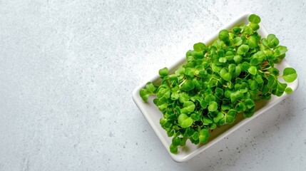Minimal overhead view of broccoli microgreens in a ceramic dish on a softly blurred minimalist countertop backdrop