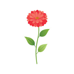 Zinnia flower flat minimal vector illustration, bright summer bloom, simple floral botanical design

