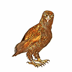 Animal vector of golden eagle 