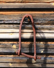 Rusted iron shackle mounted to a sunlit log wall of a weathered forest cabin