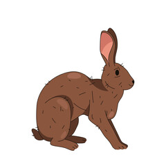 Cartoon flat bunny or wildlife rabbit isolated. Vector forest or woodland hare. Easter holiday animal or spring festive mammal. Wood fauna, wild nature. Domestic pet with long ears. Biology, zoology.