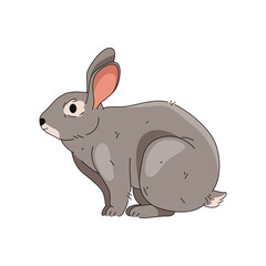 Domestic rabbit isolated or vector easter bunny. Wood or forest hare. Fluffy wildlife animal or woodland fauna. Symbol of April holiday or festive poster element. Herbivore pet with ears and tail.