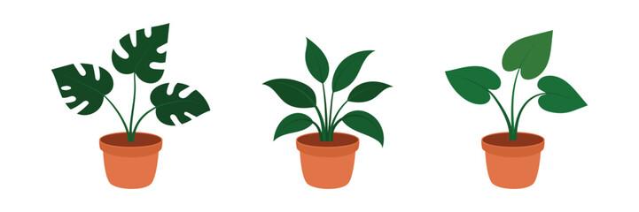  A set of houseplants with big green leaves in terracotta pots on a white background. Illustration of monstera, spatifilum, and philodendron. Concepts of indoor gardening, home decor, and plant care.