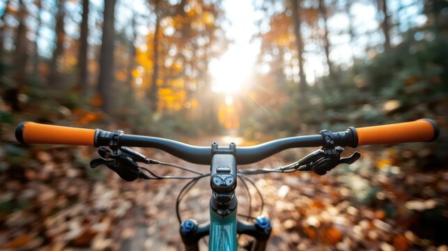 The view from the handlebars of a mountain bike on a trail, surrounded by vibrant autumn foliage and sunlight filtering through trees, showcasing adventure and nature’s beauty.