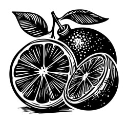 citrus fruits with leaves vintage woodcut vector shape